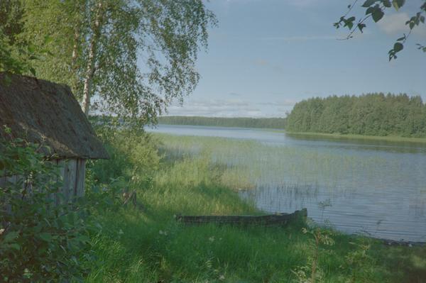album Морщихинская